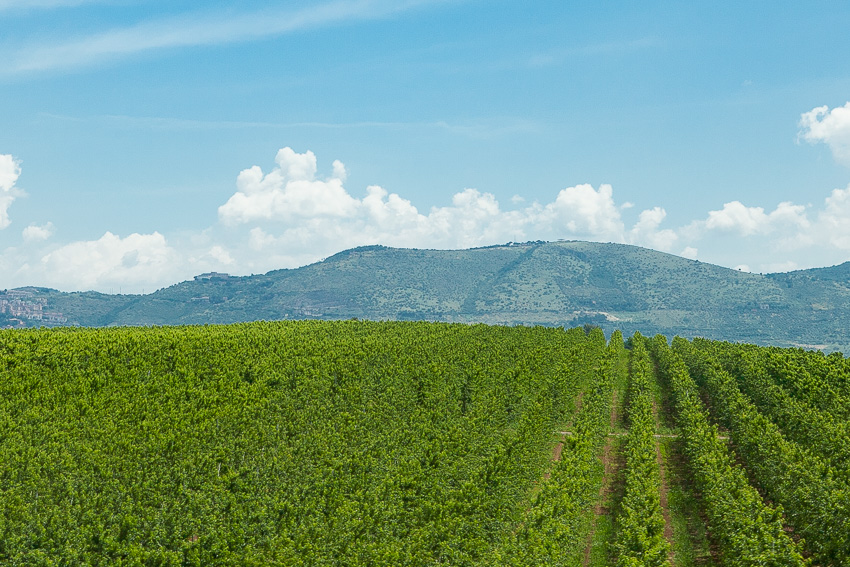 Tuscany, IT